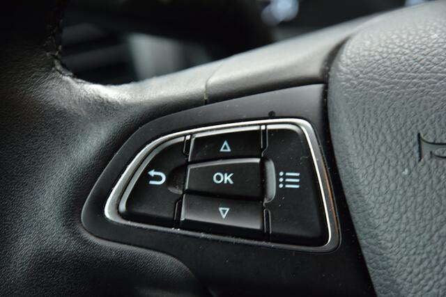 Ford ECOSPORT 1.0 EcoBoost Titanium | NAVI | CAMERA | STOELVERW