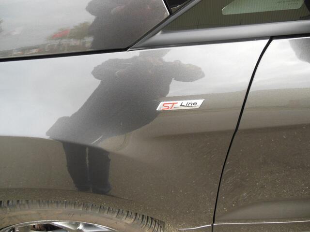 Ford ECOSPORT 1.0 EcoBoost ST-Line Staat in Hoogeveen