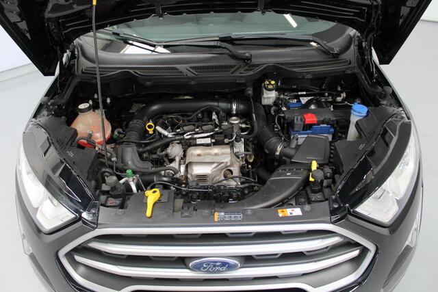 Ford ECOSPORT 1.0 EcoBoost 126PK, STOEL/STUUR/RUITVERWARMING | CARPLAY | AFNEEMBARE TREKHAAK