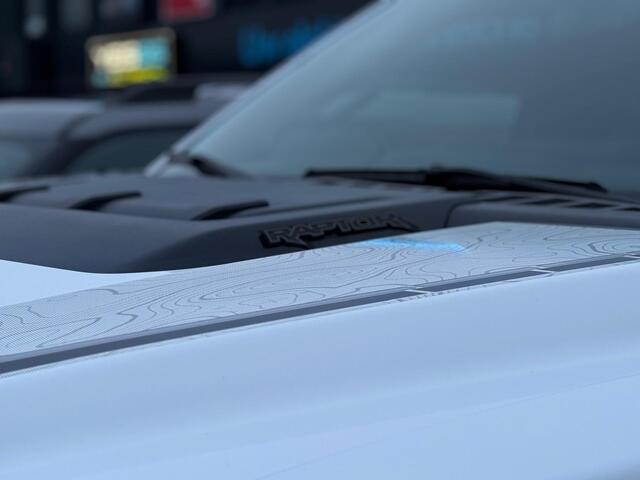 Ford F-150 3.5 EcoBoost RAPTOR 37 Performance