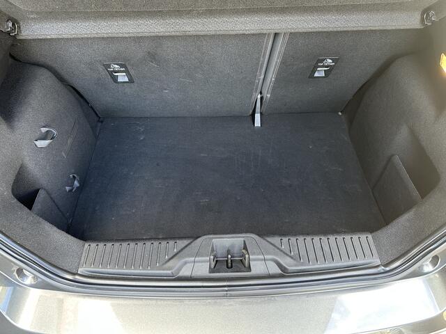 Ford FIESTA 1.0 EcoBoost ST-Line, Zwarte hemel