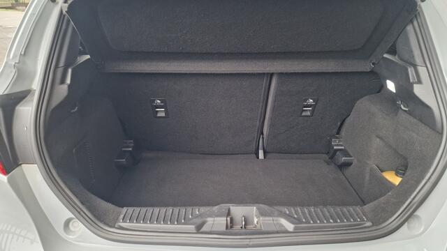 Ford FIESTA 1.5 EcoB. ST-3, Panoramadak, 200 PK, Verwarming