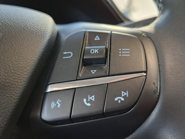 Ford FIESTA EcoBoost Hybrid 125pk Titanium Automaat | LED | Cruise | Clima | Apple carplay & Android auto | 15" LMV |