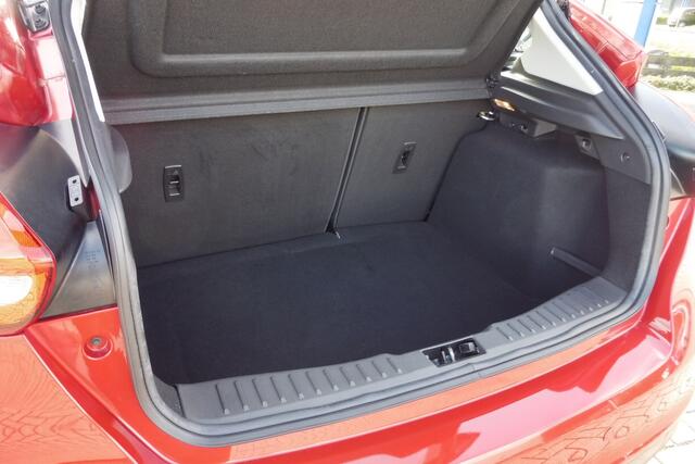Ford FOCUS 125pk Titanium Ecc CrC Parkassist Navi 17i lmv Trekhaak nwe distributie