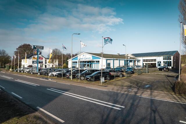 Ford FOCUS 1.5 EcoBoost Titanium Business ST Line | Dealer onderhouden!