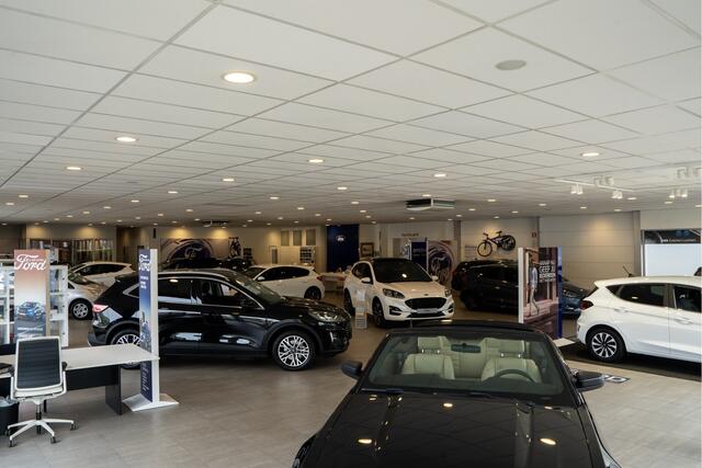 Ford FOCUS Wagon 1.5 EcoBoost 150PK Active Business Automaat | PANORAMADAK | TREKHAAK | HEAD-UP | STOEL-STUUR VERWARMING