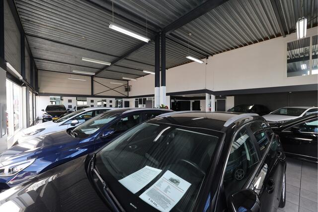 Ford FOCUS Wagon 1.5 EcoBlue Trend Edition Business ECC/STOELVERW./APPLE/TREKHAAK
