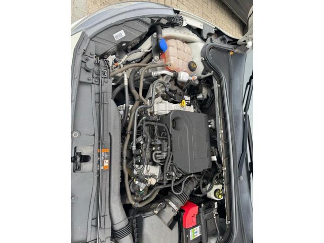 Ford FOCUS Wagon 1.0 EcoBoost Active Business | Trekhaak | Adaptieve cruise control | Winter Pack |