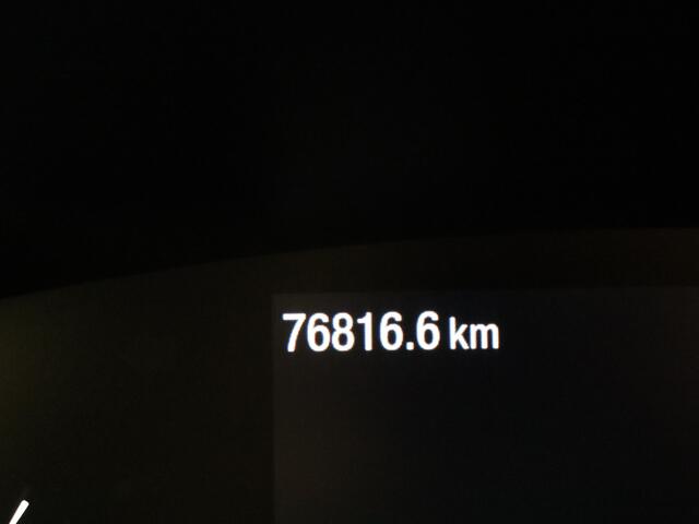 Ford FOCUS Wagon 1.0 EcoBoost Hybrid ST Line Business | Winter Pack | Camera | Carplay |