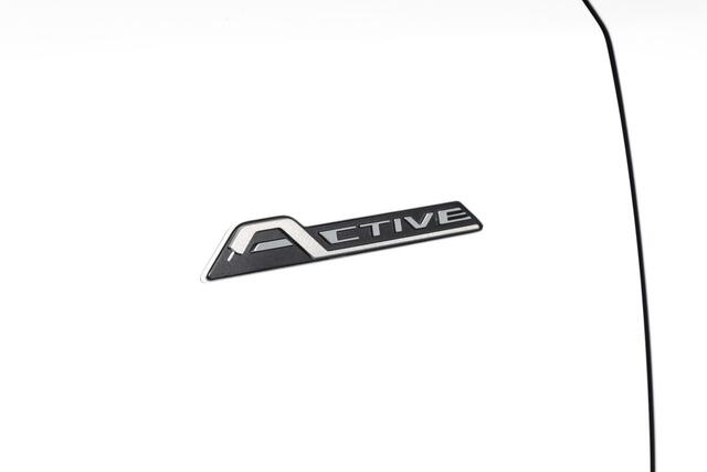 Ford FOCUS 1.0 EcoBoost 125 PK Active Business | Cruise | Winterpakket | PDC | NAV + App. Connect | Airco | Afn. Trekhaak | LM 17" |