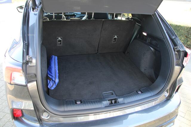 Ford KUGA 1.5 EcoBoost 150 PK ST-Line X Trekgewicht 1800 KG ELEKTRISCH PANORAMADAK | WINTER PACK | TREKHAAK
