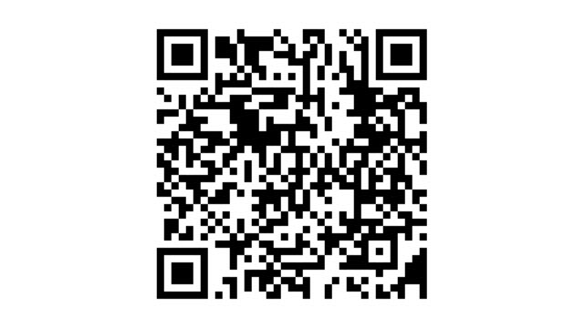 Ford KUGA 2.5 PHEV ST-LINE X / Trekhaak+Driver+Techno+Winter