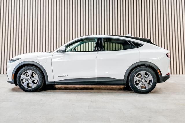 Ford MUSTANG Extended RWD 98 kWh LED | Camera | Stoel-stuur verwarming