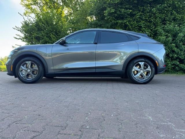 Ford MUSTANG MACH-e EXTENDED RWD 98KWH THAAK/PANO/LEER/360CAM/600RANGE