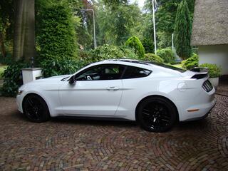ford-mustang-fastback-2.3-ecoboost-