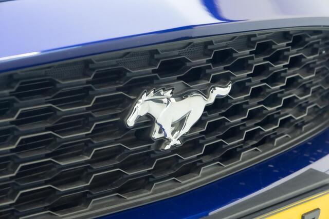Ford MUSTANG Convertible 2.3 EcoBoost | Europese Specs |