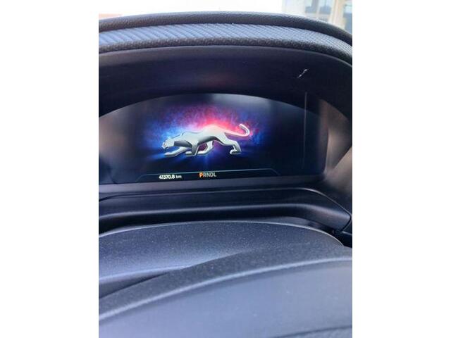 Ford PUMA 1.0 EcoBoost ST-Line X 125pk | Adaptieve Cruise | BLIS | SYNC 3 Navigatie | 20 inch Licht metalen velgen