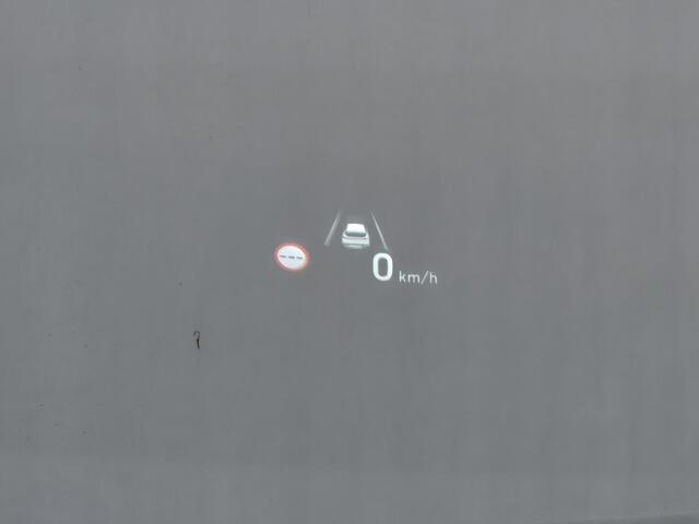 Hyundai SANTA FE 1.6 T-GDI PHEV Premium Sky 7P automaat / 7 persoons / Accu SOH 100% / Dealer onderhouden / Afneembare trekhaak / Head Up Display / Trekgewicht 1350 kg / Glazen schuif- en kanteldak / Stuur- Stoel & Achterbankverwarming /