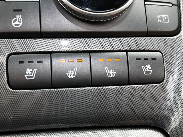 Hyundai SANTA FE 1.6 T-GDI HEV Premium Sky | Trekhaak | Navi | Clima | Leder |