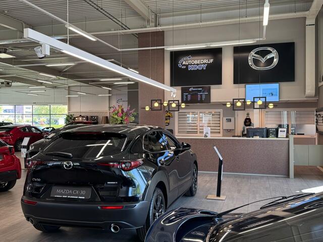 Hyundai TUCSON 1.6 T-GDI HEV Premium Wit Leder & Trekhaak