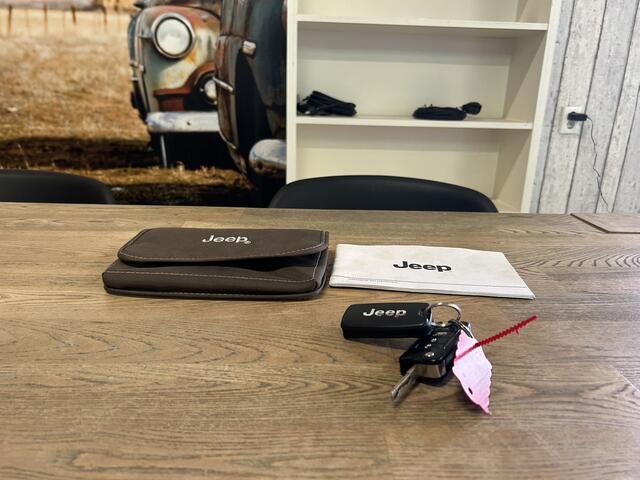 Jeep RENEGADE 1.6 E-Torq Night Eagle II NAVI CRUISE ECC LMV