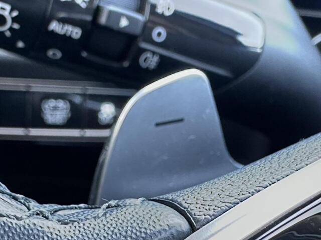KIA Niro 1.6 GDi Hybrid DynamicLine | Trekhaak | Chrome Zwart Gewrapt | Adaptieve Cruise Control | Navigatie | Enz...
