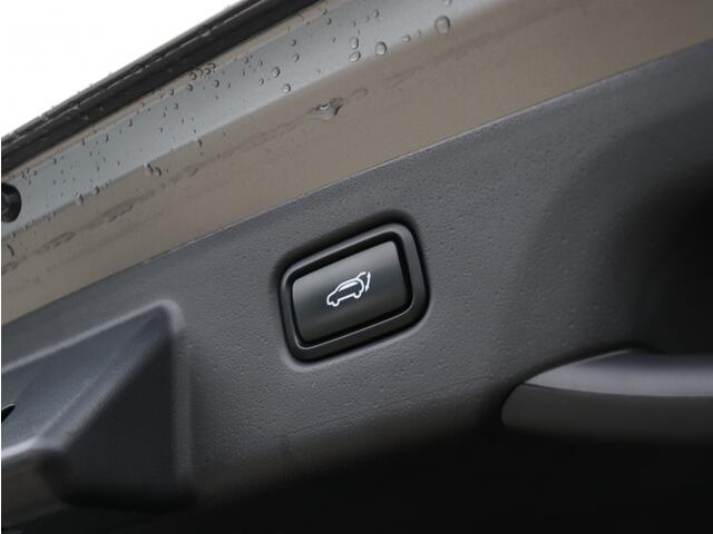 KIA Niro 1.6 GDi PHEV ExecutiveLine I Schuifdak I Leder I HarmanKardon