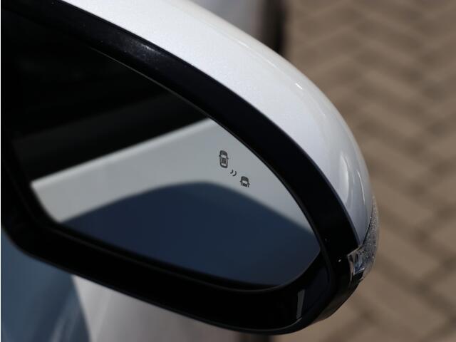 KIA Niro 1.6 GDi PHEV ExecutiveLine I Schuifdak I Leder I JBL