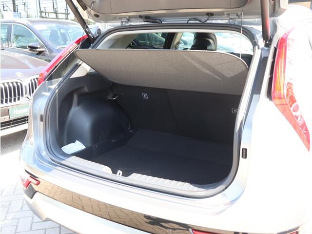 KIA Niro 1.6 GDi HEV ExecutiveLine I Schuifdak I Leder I HarmanKardon