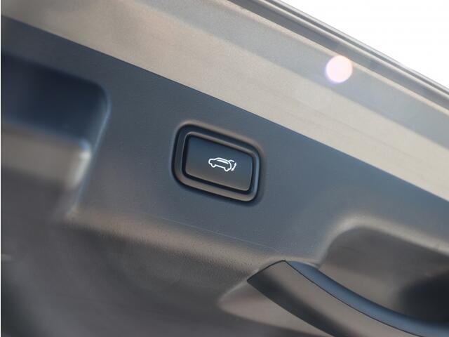KIA Niro 1.6 GDi HEV ExecutiveLine I Schuifdak I Leder I HarmanKardon