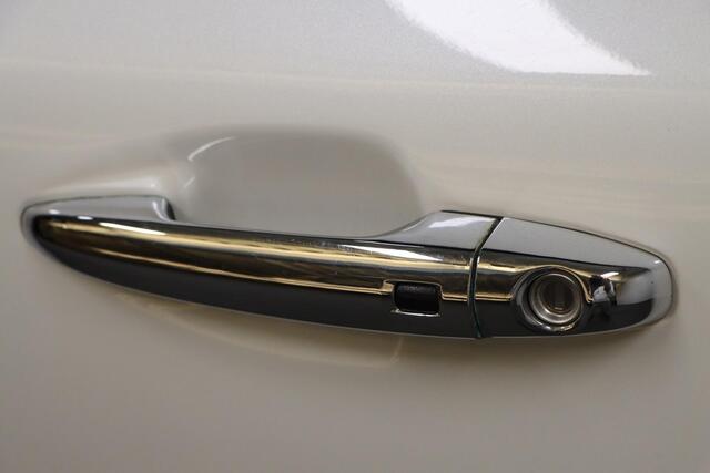 KIA Niro 1.6 GDi Hybrid BusinessLine Trekhaak