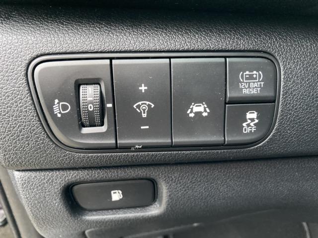 KIA Niro 1.6 GDi Hybrid DynamicLine Trekhaak info Roel 0492-588951 info Roel 0492-588951 roel@vdns-kia.nl