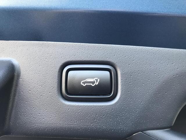 KIA Niro 1.6 PHEV DynamicPlusLine 7 JAAR GARANTIE