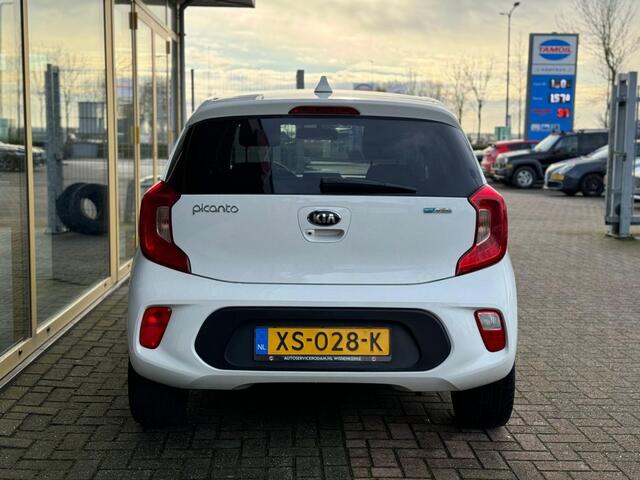 KIA PICANTO 1.0 CVVT Design Ed.