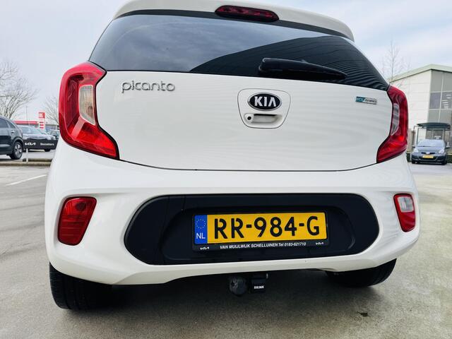 KIA PICANTO 1.0 Colour Edition Draaghaak tbv Fietsendrager | Spec.Interieur | Clima | Cruise | Camera
