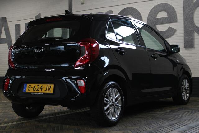 KIA PICANTO 1.0 DPi DynamicLine | Incl. 12 maanden garantie | Cruise control | Apple carplay/Android auto | Achteruitrijcamera | Elektrische ramen voor/achter| Airco | | Licht metalen velgen |