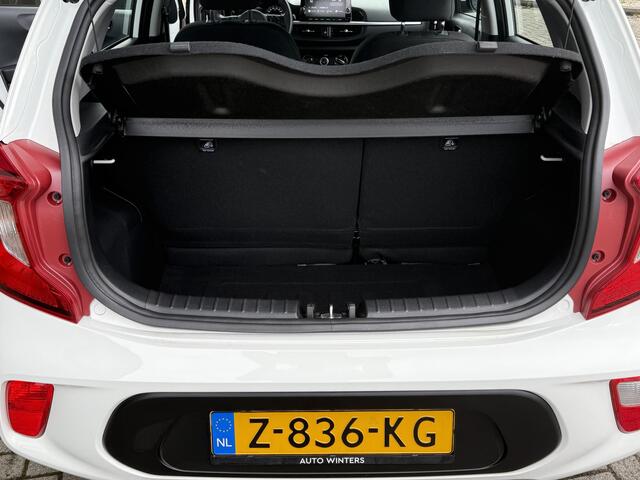 KIA PICANTO 1.0 DPi DynamicLine | Airco | Cruise Control | Navigatie | Camera | Apple CarPlay & Android Auto | Tot 10Jr. Kia-Garantie