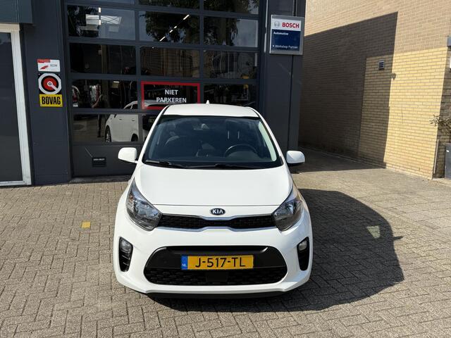 KIA PICANTO 1.0 DPi DynamicLine / Airco/ Apple carplay/ Cruise/ Camera/ LMV