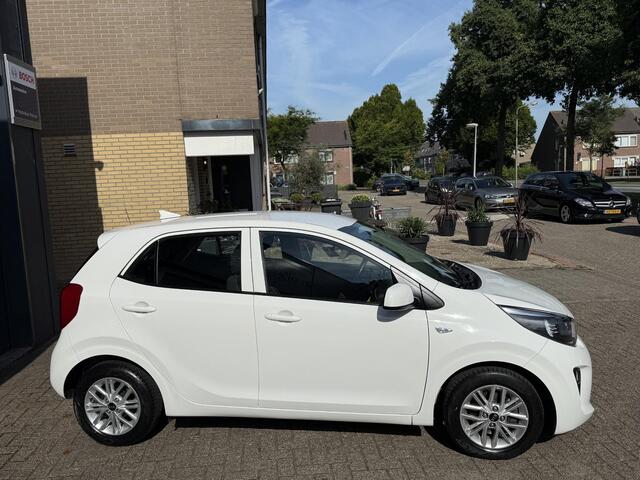 KIA PICANTO 1.0 DPi DynamicLine / Airco/ Apple carplay/ Cruise/ Camera/ LMV