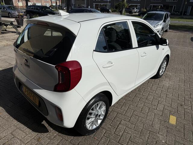 KIA PICANTO 1.0 DPi DynamicLine / Airco/ Apple carplay/ Cruise/ Camera/ LMV