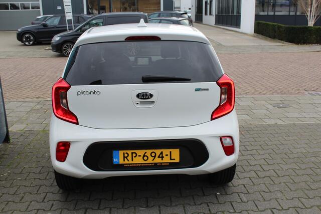 KIA PICANTO 1.0 CVVT Design Edition Navi Camera Clima Led Cruise C. Lmv