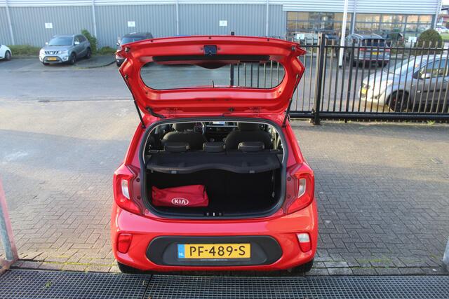 KIA PICANTO 1.0 CVVT First Edition Navigatie/Applecarplay/Achteruitrijcamera/Licht metalen velgen/Led dagrijverlichting/Cruise control/Climate control