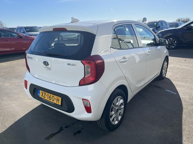 KIA PICANTO 1.0 MPi DynamicLine Nieuw geleverd & Dealeronderhouden, Navigatie, Achteruitrijcamera, Airco, Cruise control,