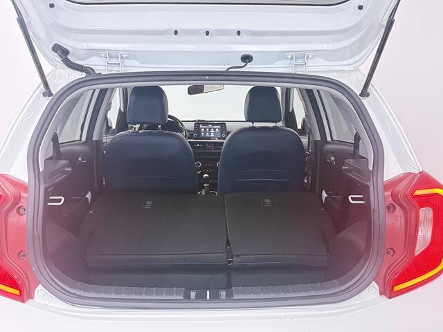 KIA PICANTO 1.0 CVVT Design Edition | Camera | Apple Carplay/ Android Auto | Cruise Control | Nederlandse Auto |