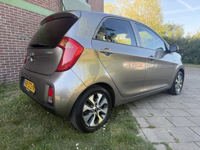 KIA PICANTO 1.0 CVVT Eco-P*2017*Airco|Cruise|Cam|Nav|Nap
