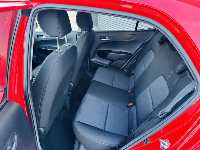 KIA PICANTO 1.0 MPi DynamicPlusLine NW geleverd & Onderhouden | Privacyglass | LED | Stoere Picanto !