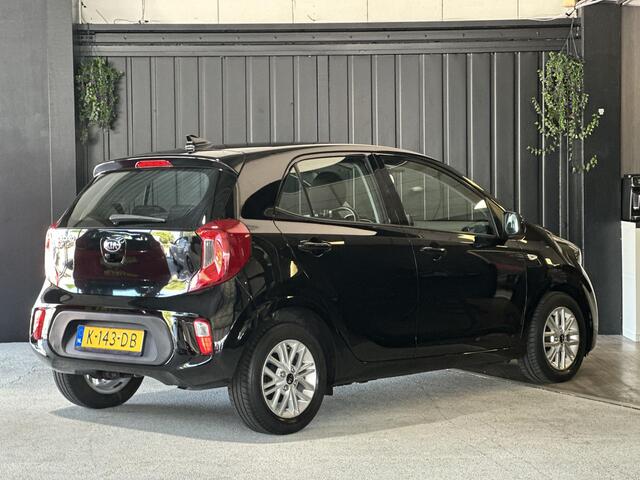 KIA PICANTO 1.0 DPi DynamicLine 5p | 1Eigenaar ( NAP ) | Achteruitrijcamera | Apple Carplay/Android Auto | Cruise Control | LMV 14 |