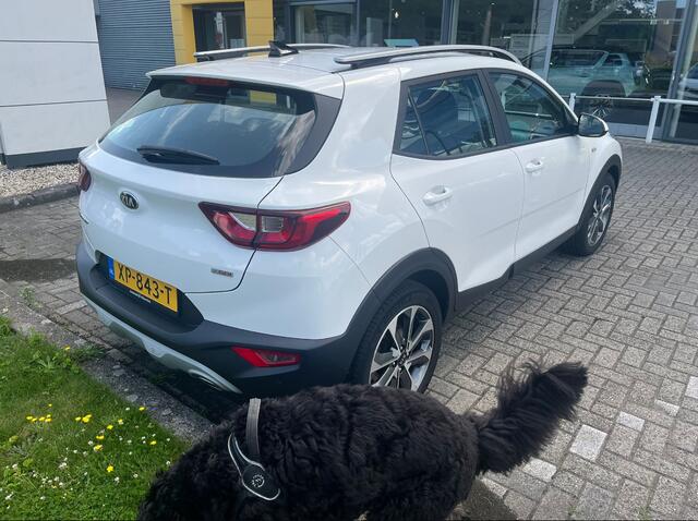 KIA Stonic 1.0 T-GDi DynamicPlusLine / Camera / Navigatie / 17'' / Keyless / Bluetooth / DAB / Cruise Control