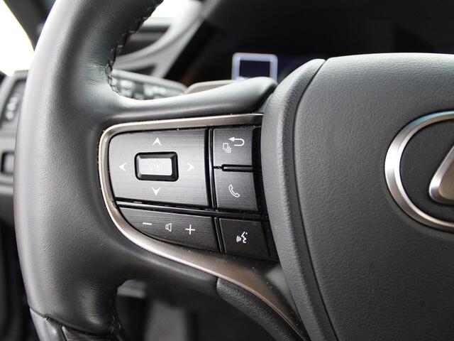 Lexus Es 300h President Line