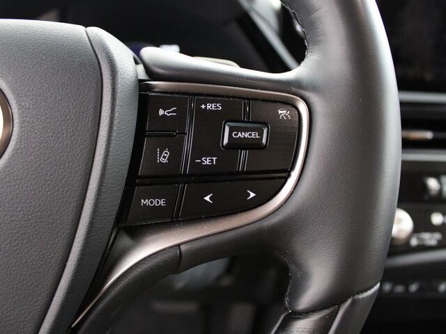 Lexus Es 300h President Line